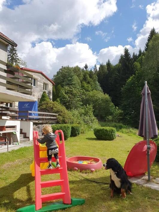 Apartamento Waldhaus Jáchymov Exterior foto