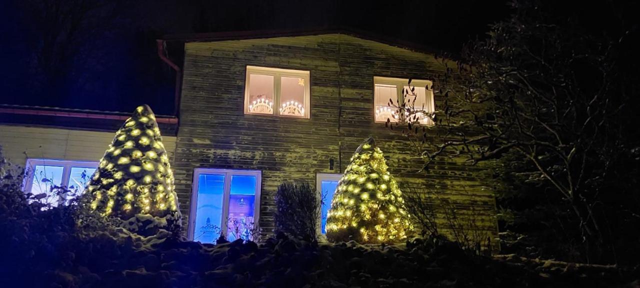 Apartamento Waldhaus Jáchymov Exterior foto