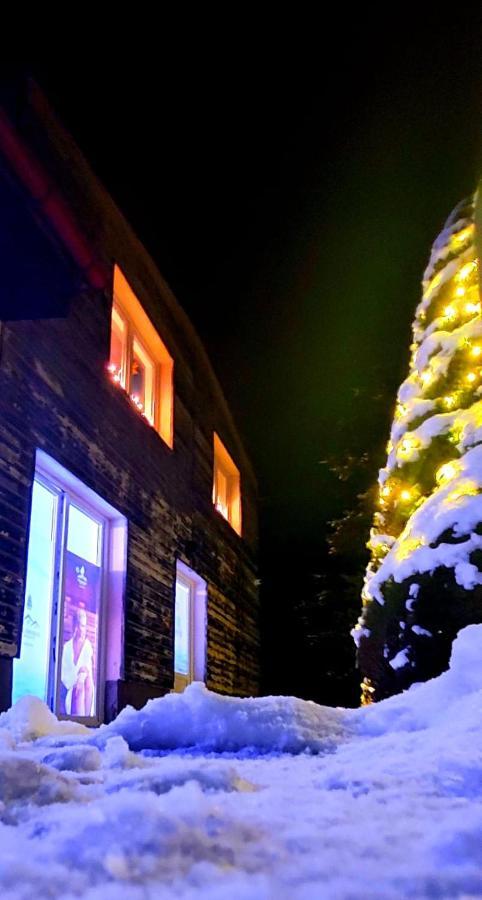 Apartamento Waldhaus Jáchymov Exterior foto