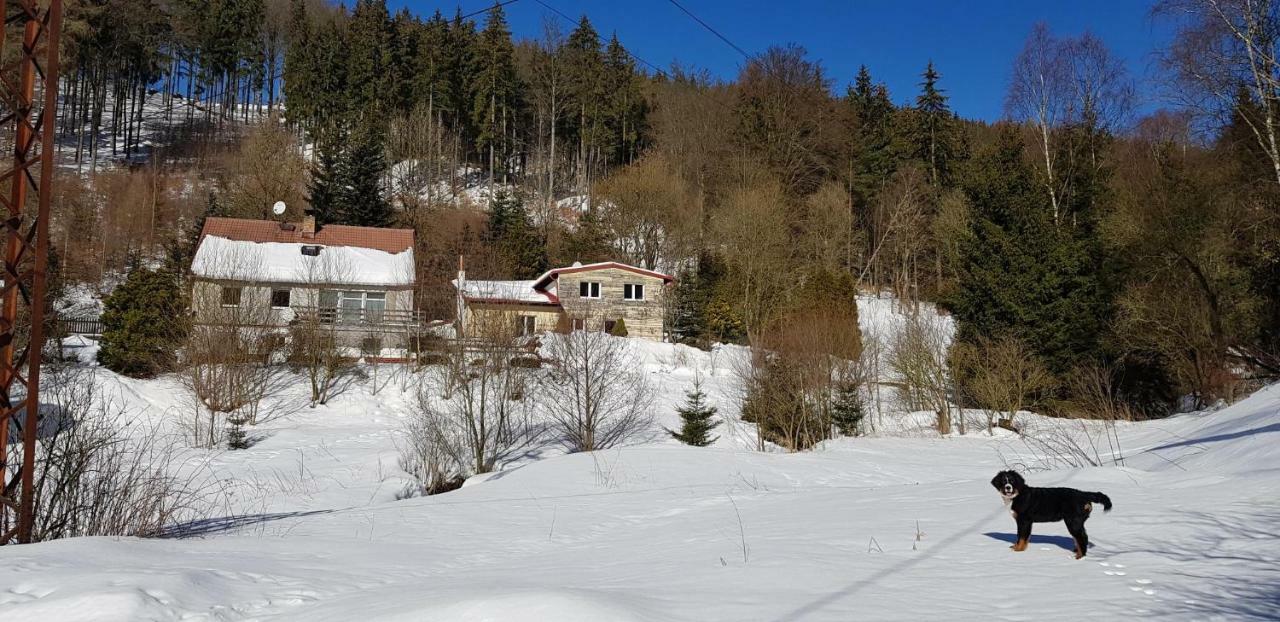Apartamento Waldhaus Jáchymov Exterior foto